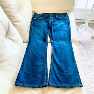 Torrid Source of Wisdom Slim Boot Cut Blue Jeans Size 16
